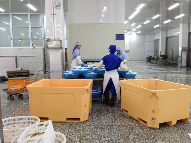 海鮮保溫箱 大型塑料冷藏箱3.jpg